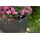 Westmann Talus XL Pflanzkübel 100 x 25 x 77 cm Anthrazit