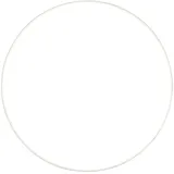 Trio Reality LED Deckenleuchte SPICA weiß