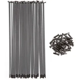 BSD Speichen Butted (Pack of 40 - Nipples) 186 mm