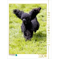 Calvendo Rennender Pudel Puzzle