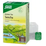 SALUS Grüner Tee Teebeutel 15 St.