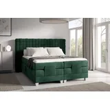 Fun Möbel Fun Moebel - Grün