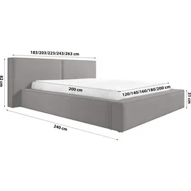 FEDVE Polsterbett Doppelbett Lopra Bett Bettkasten 180x200 cm Dunkelgrau (Magic Velvet 2273) - Dunkelgrau