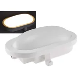 ChiliTec Oval-Armatur 12W IP44 grau