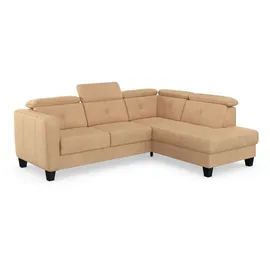 sit&more Ecksofa SIT & MORE "Belluci L-Form", braun (macciato), B:249cm H:85cm T:195cm, Sofas, Ecksofa, inklusive Federkern, wahlweise mit Bettfunktion und Bettkasten