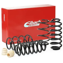 Eibach E10-79-010-01-22