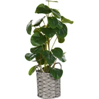 Beliani Kunstpflanze KIBETI 55 cm Grün,