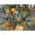Blumen-Senf Kumquat mit Frucht 130-160 cm Fortunella margarita Citrus Zitrus Zitruspflanze