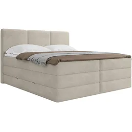 Winkle Mid.you 160 x 200 cm H2/H3 Creme