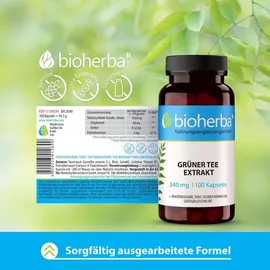 Bioherba Grüner Tee Extrakt 340 mg Kapseln 100 St.
