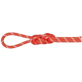 Mammut 8.0 Alpine Classic Halbseil 30 m Rot