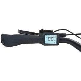 Prophete Geniesser 3.0 28 Zoll RH 48 cm Grau