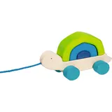 gollnest & kiesel goki Ziehtier Schildkröte Tortuga