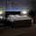 vidaXL Boxspringbett 180 x 200 cm Schwarz