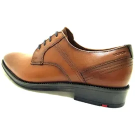 LLOYD Gala | Braun - 46,5