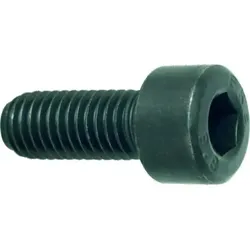 Zylinderschrauben / 16 / M4 / DIN EN ISO 4762