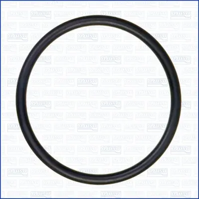 AJUSA Dichtung, Thermostat 16054000 für Ford Audi Chrysler VW