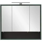Lomadox Badezimmer Spiegelschrank inkl. Beleuchtung in waldgrün, b/h/t: ca. 70/64,2/16 cm