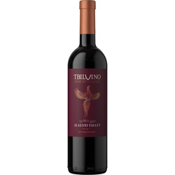 Tbilvino Alazani Valley Rotwein halbtrocken 2023 0,75L