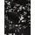 Tom Tailor Miniröcke Damen Floral Schwarz S