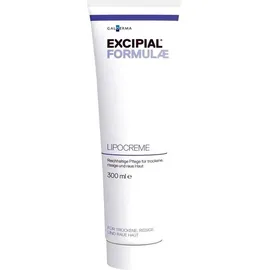 Galderma Laboratorium Excipial Lipocreme 300 ml