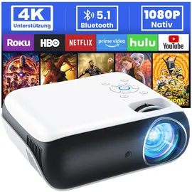 HOPVISION H1 4K