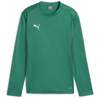 Puma teamGOAL Trainings-Sweatshirt Jungen 05 sport green/power green/white 164