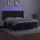 vidaXL Boxspringbett mit Matratze & LED Schwarz 180x200 cm Samt