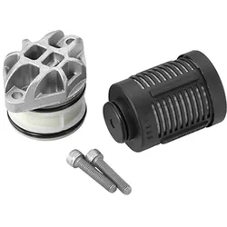 BorgWarner (AWD) Hydraulikfilter, Lamellenkupplung-Allradantrieb hinten rechts links mit Zubehör für VW 0BS525554C 0BR525554A 0AY525554D DS2003085