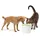 Catit Trinkbrunnen für Katzen, grün/weiß, 3L