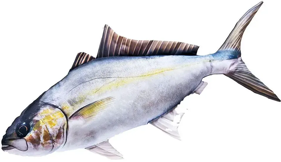 Gaby Das Riesige Amberjack-kissen - White / Blue / Brown / Yellow - One Size