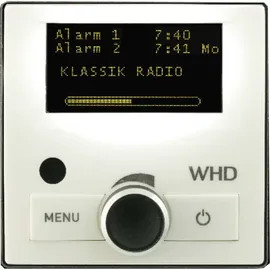 WHD UP DAB+ Radio silber