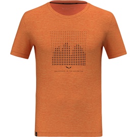 Salewa Eagle Dotted MTN AM T-Shirt orange