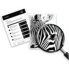 HP 924e EvoMore cyan