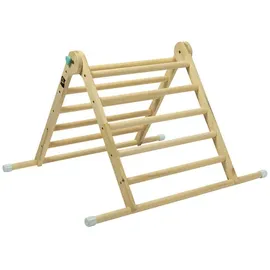 TP Toys Active Tots Triangle
