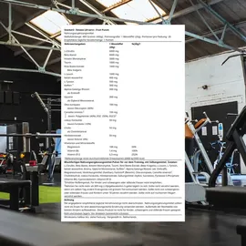 Stacker2 Extasis Pre-Workout Pulver Fruit Punch 400 g