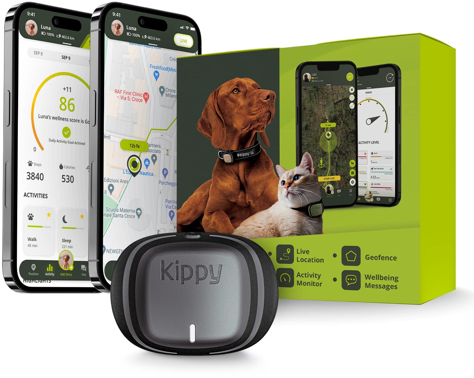 Kippy – GPS Tracker Halsband Evo für Hunde und Katzen – Gesundheits- und Aktivitäts-Tracker – GPS Tracker Katze, Hund – Wasserdichter GPS Tracker – Ortungsgerät mit Sofortalarm und Led – Grau