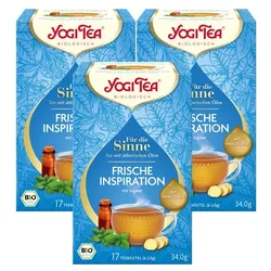 Yogi Tea - Frische Inspiration Für die Sinne Bio Kräutertee Set 3x34 g