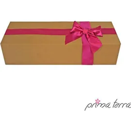unityshops / firma doris krendl e.u. Kaminholzregal Stahl 118 x 118 x 35 cm Edelrost