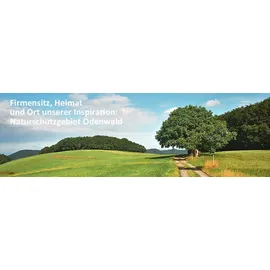 Biotikon Weihrauch Kapseln 100 St.