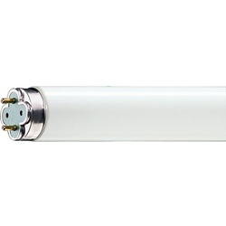 Leuchtstofflampen T8 3-Banden 58W / Cool White - 840 Xtreme Philips