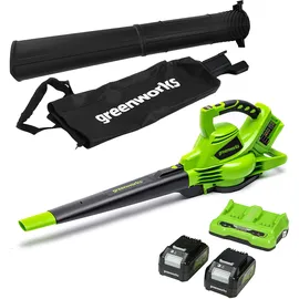 Greenworks GD24X2BV