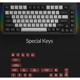 Akko 5075B Plus Dracula Castle RGB Gaming Tastatur ANSI 75% Layout 2.4G/Bluetooth/Type-C Linearer Schalter - Grau
