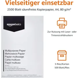Amazon Basics Druckerpapier A4 80 g/m2 2500 Blatt