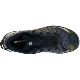 Salomon XA Pro 3D V9 Herren India Ink/Olive Night/Aloe Wash 46