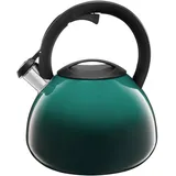 AMBITION Wasserkessel Flötenkessel Pfeifkessel aus Edelstahl Induktion Gas Ombre 2,6 Liter NEU&OVP (Türkis)