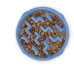 Outward Hound Fun Feeder Slo Bowl