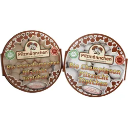 BIO Champignon-Pilzzucht-Töpfchen
