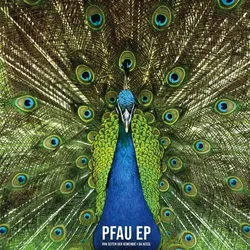 Pfau Ep (Lp) (Vinyl) - Von Seiten Der Gemeinde  Da Kessl. (LP)
