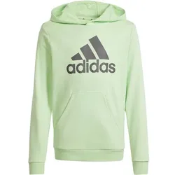 ADIDAS Kinder Kapuzensweat Big Logo Essentials, SEGRSP/CHACOA, 176